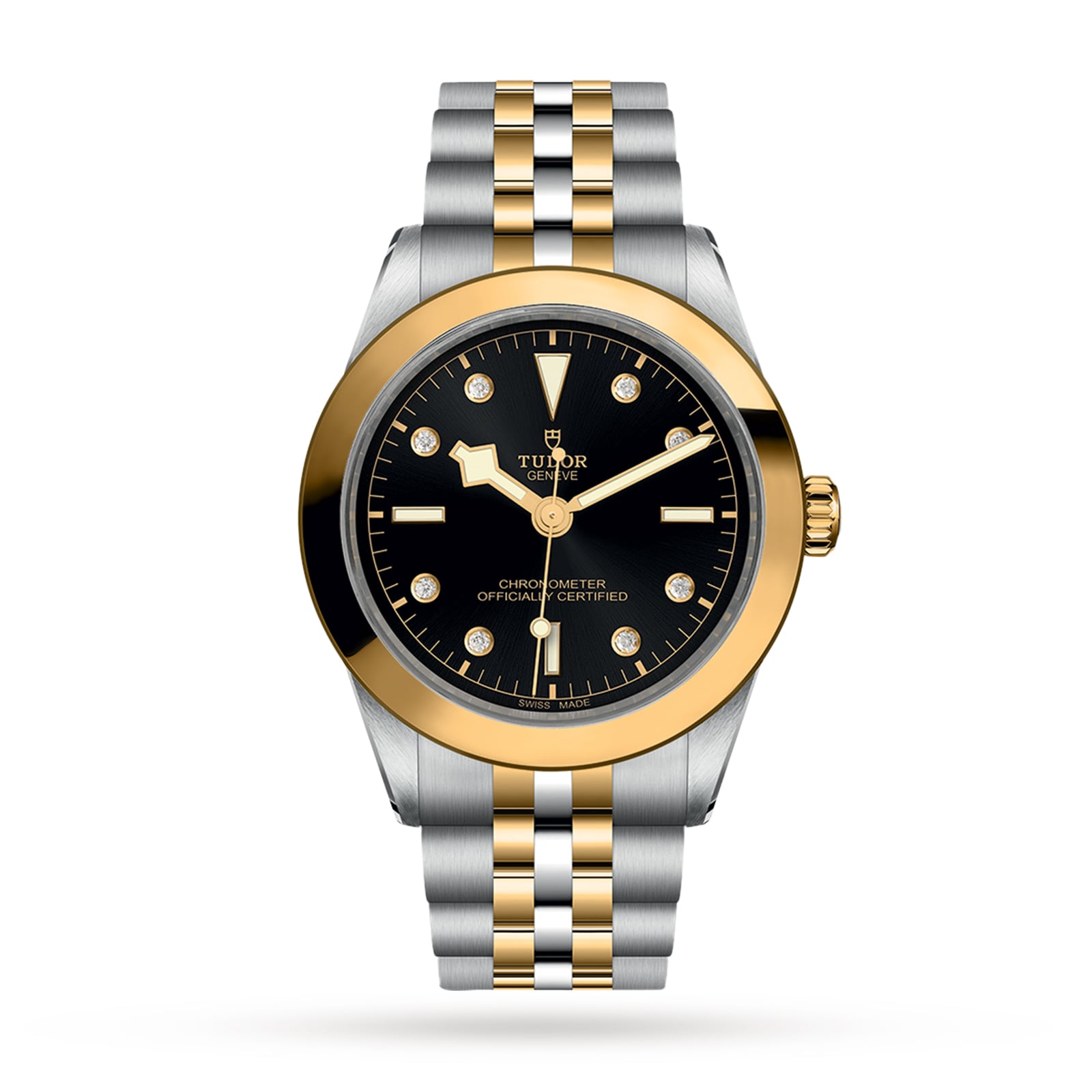 Tudor Black Bay 39 S&G