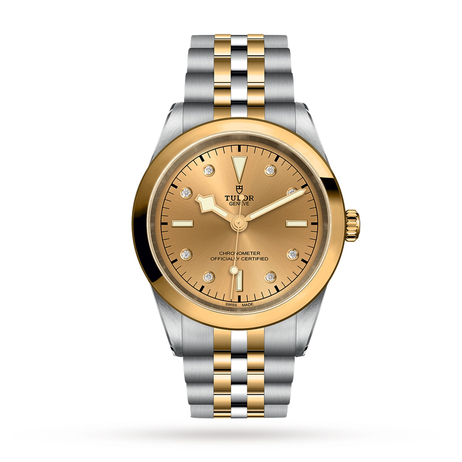 Tudor Black Bay 41 S&G